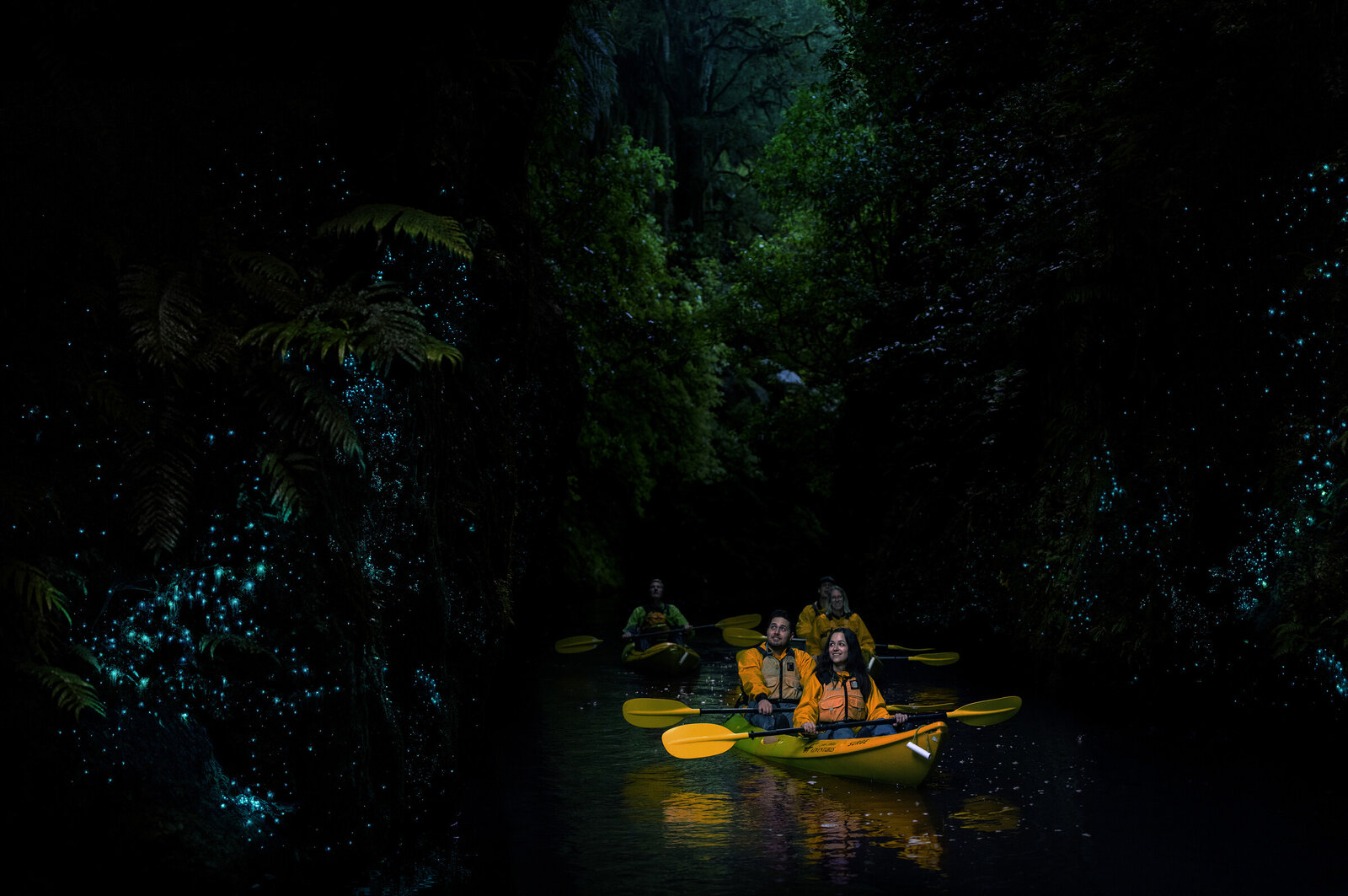 Glowworms at night with people in kayaks