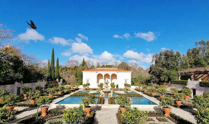 Photo of Hamilton Gardens